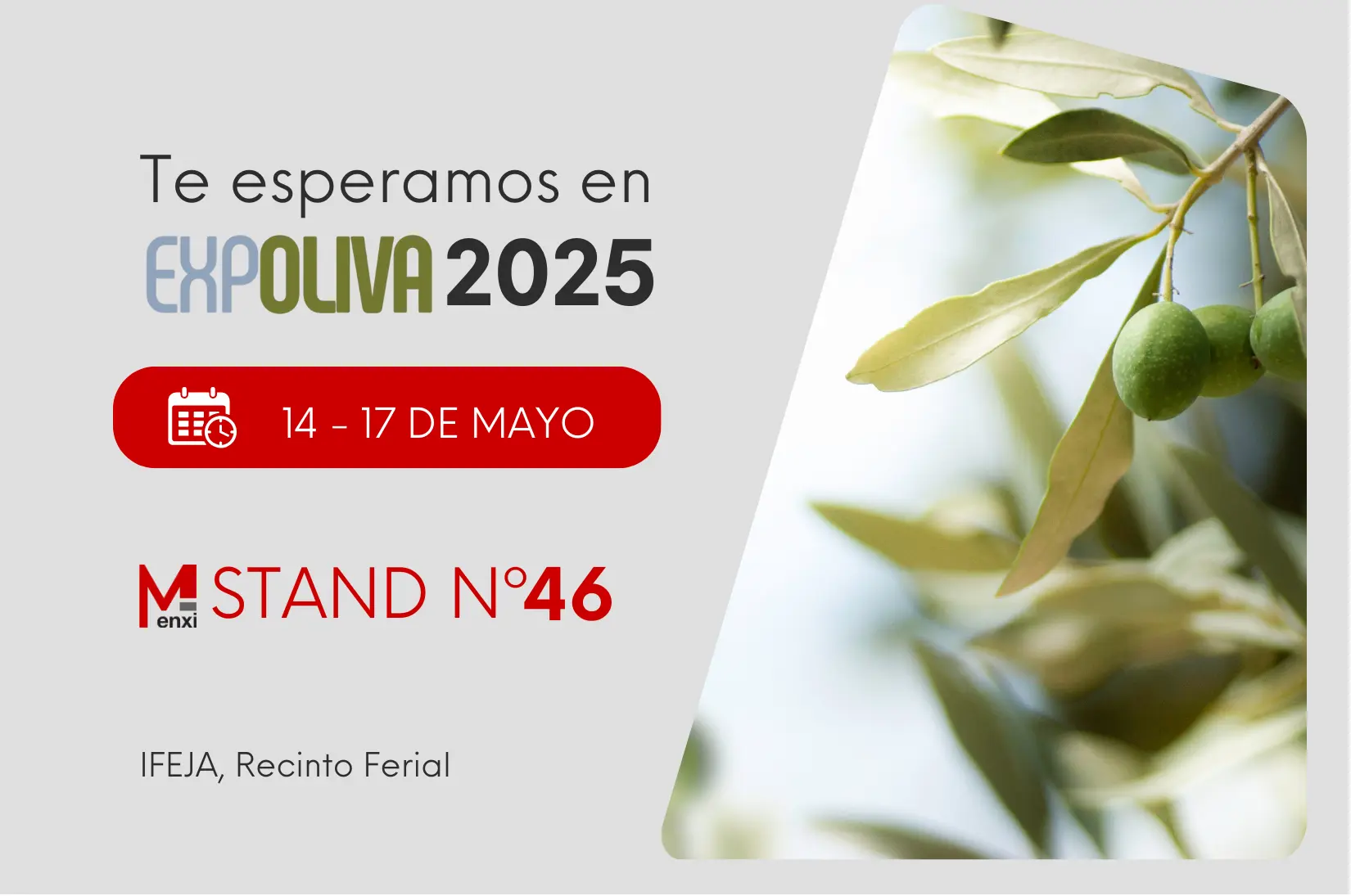 expoliva 2025